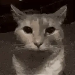 :chat-regard-insistant: