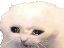 :ChatChiale: