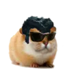 :Hamster_style: