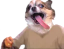 :wouaf:
