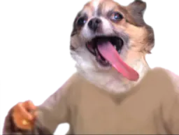 :wouaf: