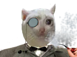 :Risitas_Chat_Fume_Pipe:
