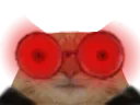 :Chat_enfer:
