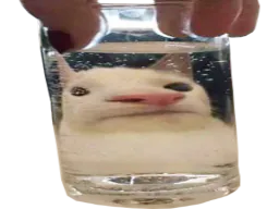 :wideglouent: