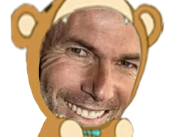 :Zidane_Nounours: