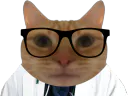 :chat_medecin: