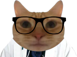 :chat_medecin: