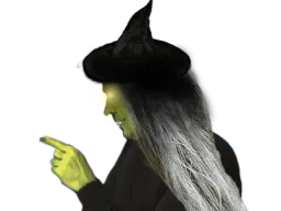 :fdvd_soral: