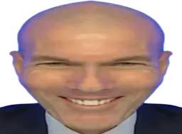 :zidane26_6: