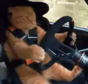 :ChatRallye: