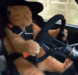 :ChatRallye: