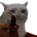 :fdp2: