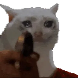 :fdp2: