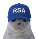 :phoquersa: