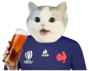 :Cattofrbiere:
