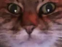 :chat_zoom: