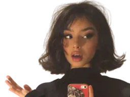 :meuf_selfie: