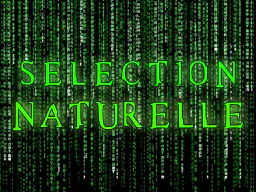:selematrix:
