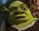 :Confused_shrek: