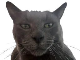 :Babis_chad: