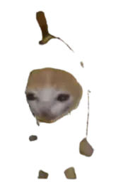 :chat_espion2: