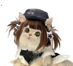 :Chat_gal_black_: