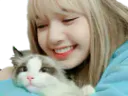 :Chalin: