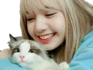 :Chalin: