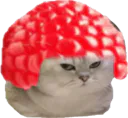 :chatbrushingframboise: