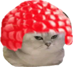 :chatbrushingframboise: