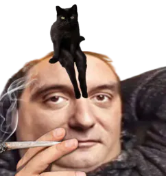 :catslave4: