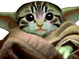 :ChatGrogu: