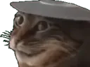 :CatPlate: