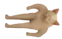 :dodo_human_cat: