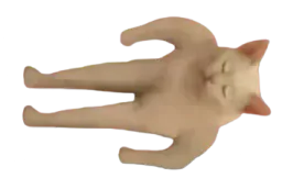 :dodo_human_cat: