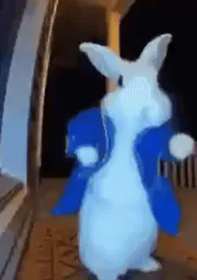 :LapinBlanc: