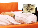 :ChatMacheCanape: