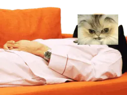 :ChatMacheCanape: