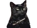 :chat_ongles:
