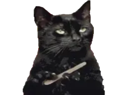:chat_ongles: