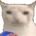 :Chat_mange: