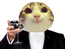 :marrant_champagne: