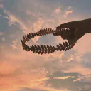 Apollo