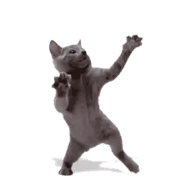 :miaouste: