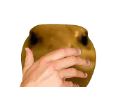 :Lezard3:
