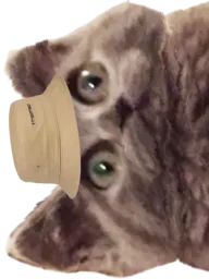 :ChatbobG:
