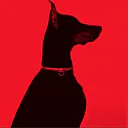 Doberman