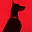 Photo de profil de Doberman