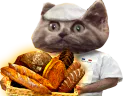 :chat_boulanger: