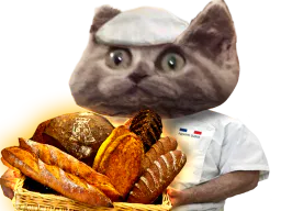 :chat_boulanger: